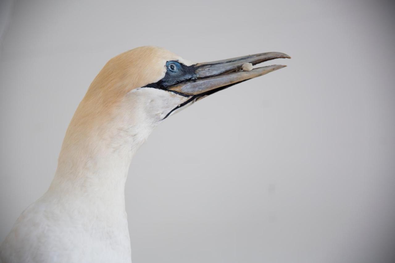 ホテル Skjerjehamn Anneland エクステリア 写真
